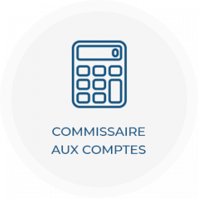 image commissaire aux comptes reims